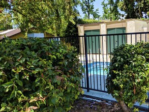 655 Marshall Ct in Claremont, CA - Building Photo - Building Photo