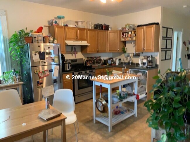 20 Marney St, Unit 2 in Cambridge, MA - Building Photo - Building Photo