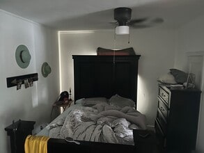 418 S Van Buren St in Sullivan, IL - Building Photo - Building Photo