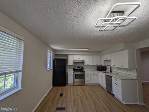2996 Paddock Wood Ct in Oakton, VA - Building Photo - Building Photo