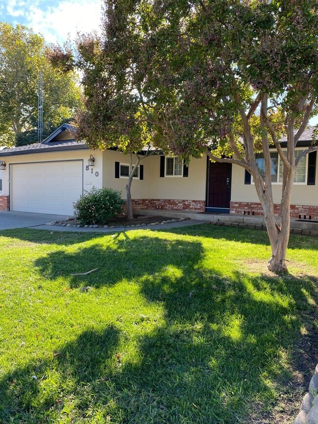 810 Camellia Way in Vacaville, CA - Foto de edificio - Building Photo