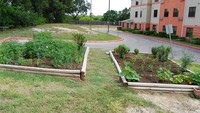 Nueces Bend Senior Housing in San Antonio, TX - Foto de edificio - Building Photo