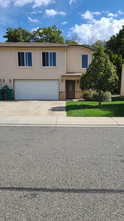 807 Montclair Dr in Palisade, CO - Building Photo