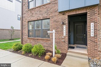 44603 Wolfhound Sq in Ashburn, VA - Building Photo - Building Photo