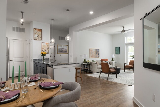 The Leo Loso Apartments in Charlotte, NC - Building Photo - Building Photo