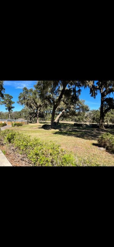 18585 NW 43rd Court Rd in Citra, FL - Building Photo - Building Photo