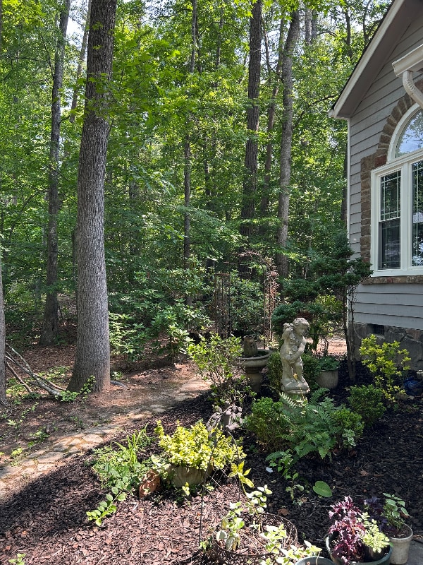 248 Land Or Dr in Ruther Glen, VA - Building Photo - Building Photo