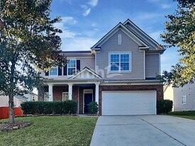 10524 Dominion Village Dr in Charlotte, NC - Building Photo