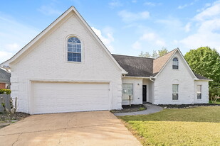 13119 Claybourne Cove in Olive Branch, MS - Building Photo