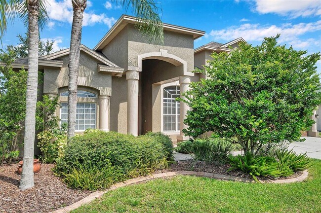 4812 Walnut Ridge Rd in Land O Lakes, FL - Building Photo - Building Photo
