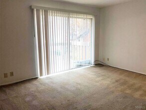 229 S Church St in Belleville, IL - Building Photo - Building Photo