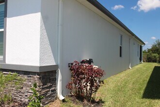 32267 Rosepine Blvd in Wesley Chapel, FL - Building Photo - Building Photo