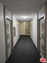 4255 5th St in Los Angeles, CA - Building Photo - Building Photo
