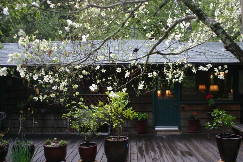123 Private St in Ben Lomond, CA - Building Photo
