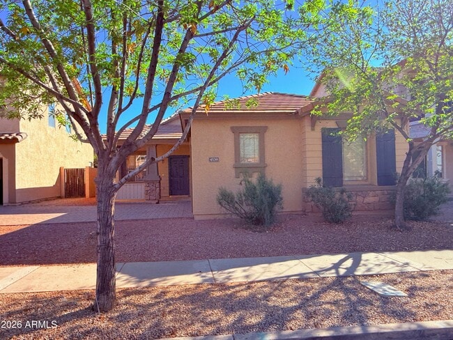 4539 E Ivanhoe St in Gilbert, AZ - Building Photo - Building Photo