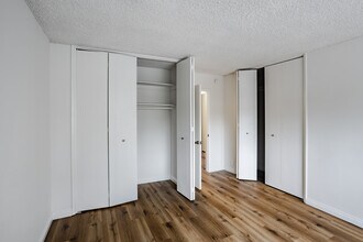 8110 Redlands St in Playa Del Rey, CA - Foto de edificio - Interior Photo