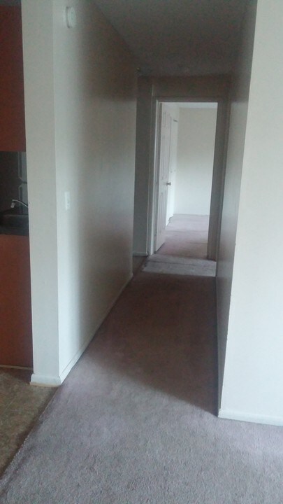 31 Gillett St in Hartford, CT - Building Photo