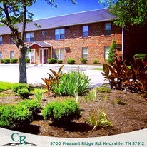 Creek Ridge Apartments in Knoxville, TN - Building Photo