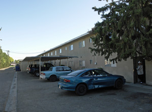 Cambridge Court Apartments in Fresno, CA - Building Photo - Building Photo