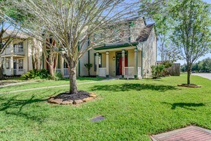 23618 Wildwood Green Way in Spring, TX - Building Photo
