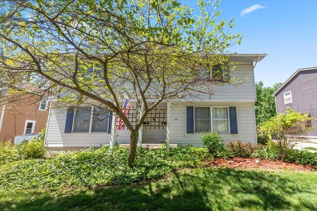 334 First St in Northville, MI - Building Photo - Building Photo