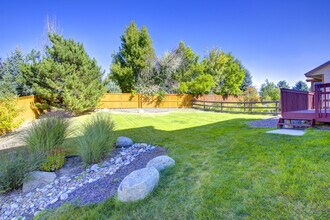 3591 Sawgrass Trail in Castle Rock, CO - Building Photo - Building Photo