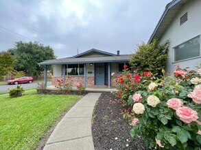 3565 Beckworth Dr in Napa, CA - Building Photo - Building Photo