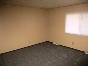 1004 Charlotte Dr in Normal, IL - Building Photo - Building Photo