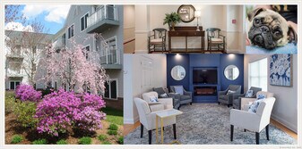 100C Danbury Rd in Ridgefield, CT - Building Photo