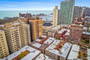 560 W Hawthorne Pl, Unit 516-110 in Chicago, IL - Building Photo