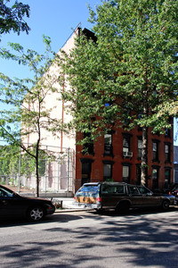 286 Pacific St in Brooklyn, NY - Foto de edificio - Building Photo