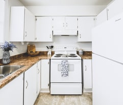 Blackshire Court in St John's, NL - Building Photo