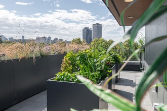 Nell’s Place in Vancouver, BC - Building Photo - Floor Plan