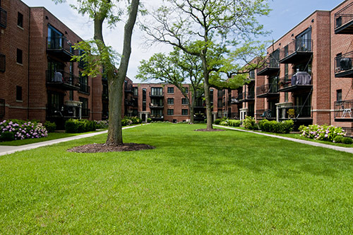 2 S. Greenwood in Park Ridge, IL - Building Photo - Building Photo