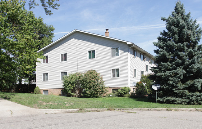 20 Roe St Apartments in Battle Creek, MI - Foto de edificio - Building Photo