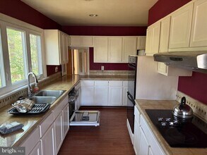 11627 Pine Tree Dr in Fairfax, VA - Building Photo - Building Photo