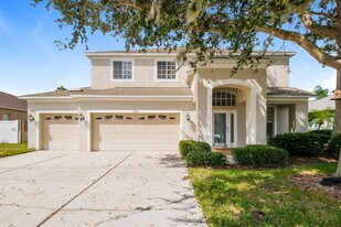 1709 Pink Guara Ct in Trinity, FL - Building Photo