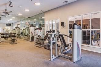 The Adelaide in Orlando, FL - Building Photo - Interior Photo