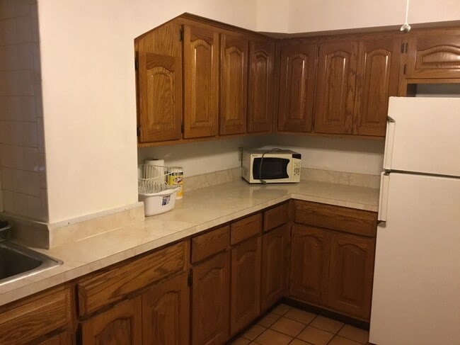 2717 S Princeton Ave, Unit Bsmt gas heat included in Chicago, IL - Building Photo - Building Photo