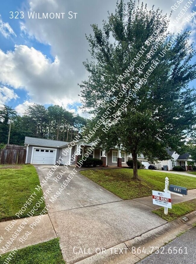 property at 323 Wilmont St