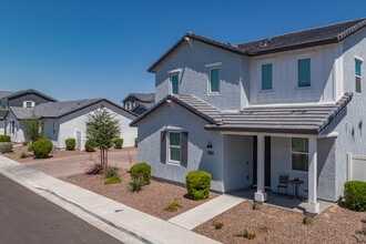 Cyrene at Estrella II-Sun Life in Goodyear, AZ - Building Photo - Building Photo