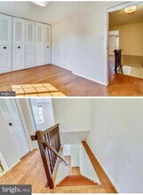 2943 Shepperton Terrace in Silver Spring, MD - Building Photo - Building Photo
