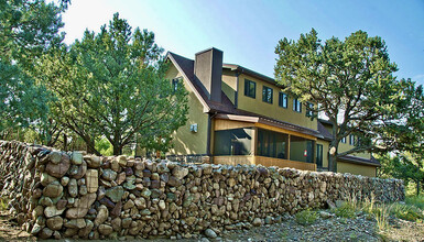 147 Moonlight Way in Crestone, CO - Building Photo - Building Photo