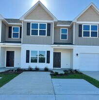 6029 Brylex Ln in Bellview, FL - Building Photo