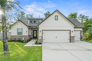 18203 Samie Nell Ct in Willis, TX - Building Photo