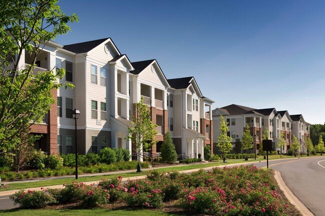 CityPark View in Charlotte, NC - Building Photo - Building Photo