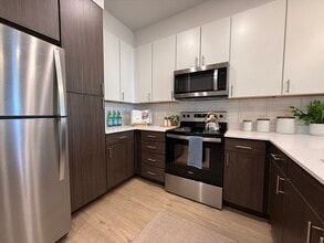 1102 Treeta Trl in Kyle, TX - Building Photo - Building Photo