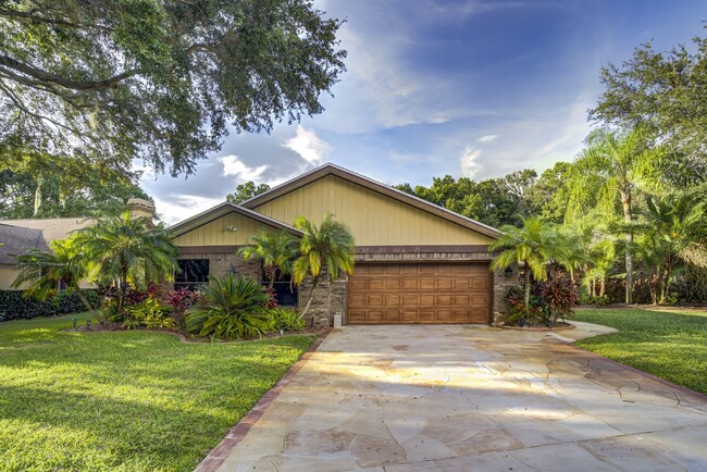 3357 Pattie Pl in Palm Harbor, FL - Building Photo - Building Photo