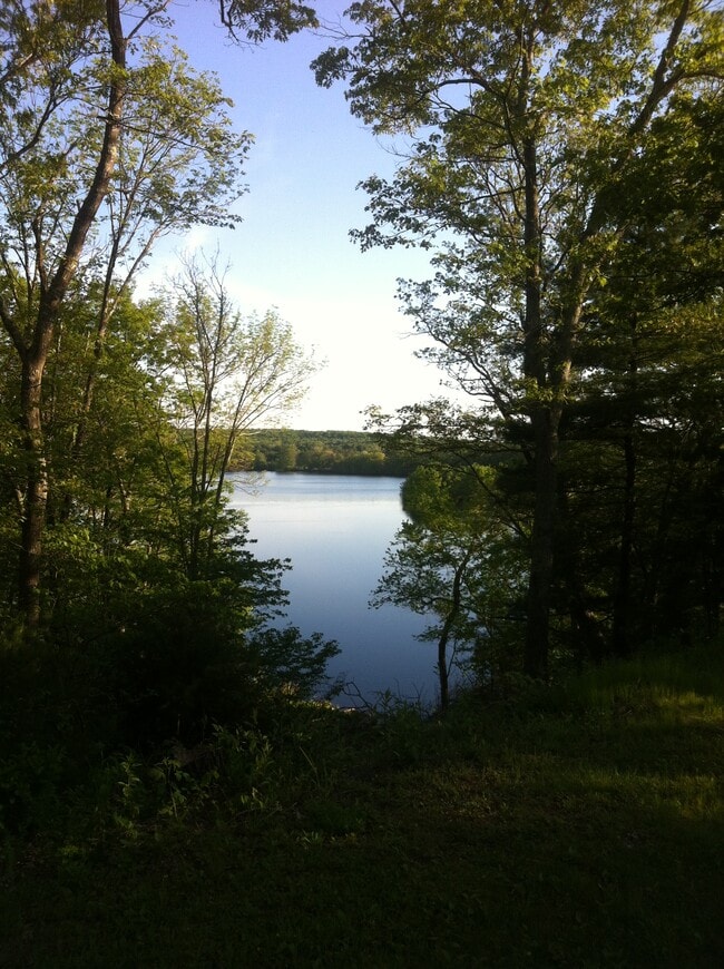141 Lillibridge Ave, Unit 141C Lillibridge