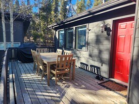 4603 Co Rd 1, Unit 2 Bedroom 1 Bathroom in Alma, CO - Building Photo